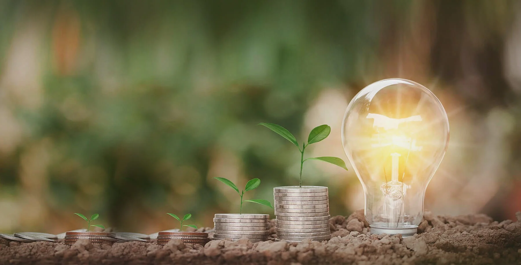 Small Business Accounting CPA Firm