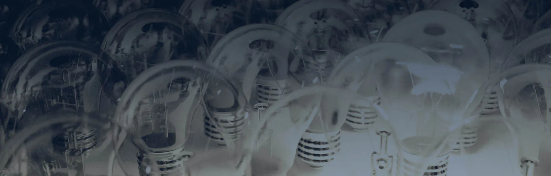 Meet the team of accounting experts at Berg Advisors